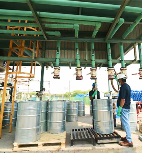 Advanced Packing facility