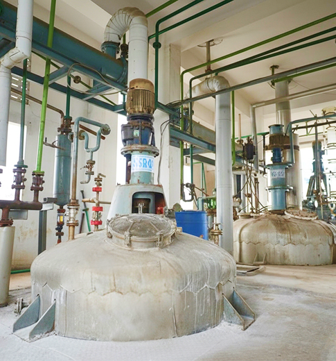 Emulsion Polymerization Reaction Plant  